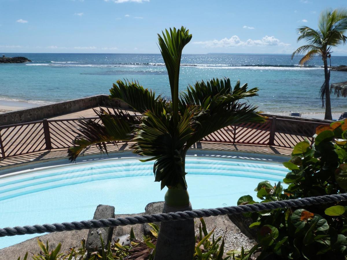 Studio Vue Mer Piscine Plage Kaz Punch Manganao Chez Julie Saint-Francois  Kültér fotó