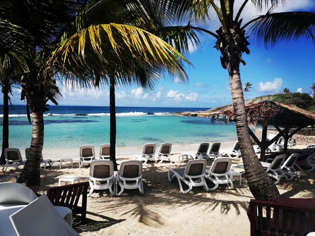 Studio Vue Mer Piscine Plage Kaz Punch Manganao Chez Julie Saint-Francois  Kültér fotó