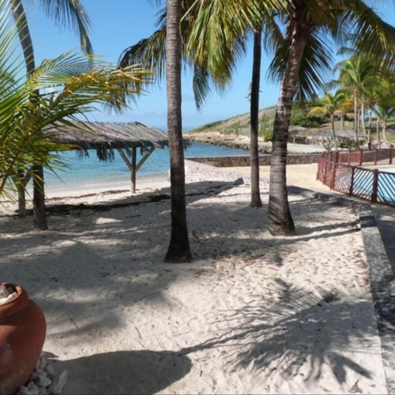 Studio Vue Mer Piscine Plage Kaz Punch Manganao Chez Julie Saint-Francois  Kültér fotó